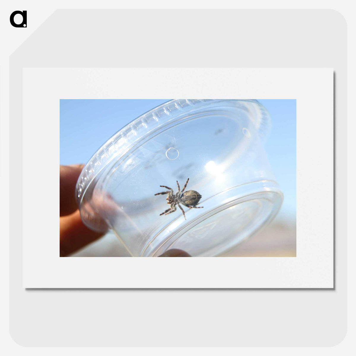 2-77_Insects-Unlocked-Project_picture