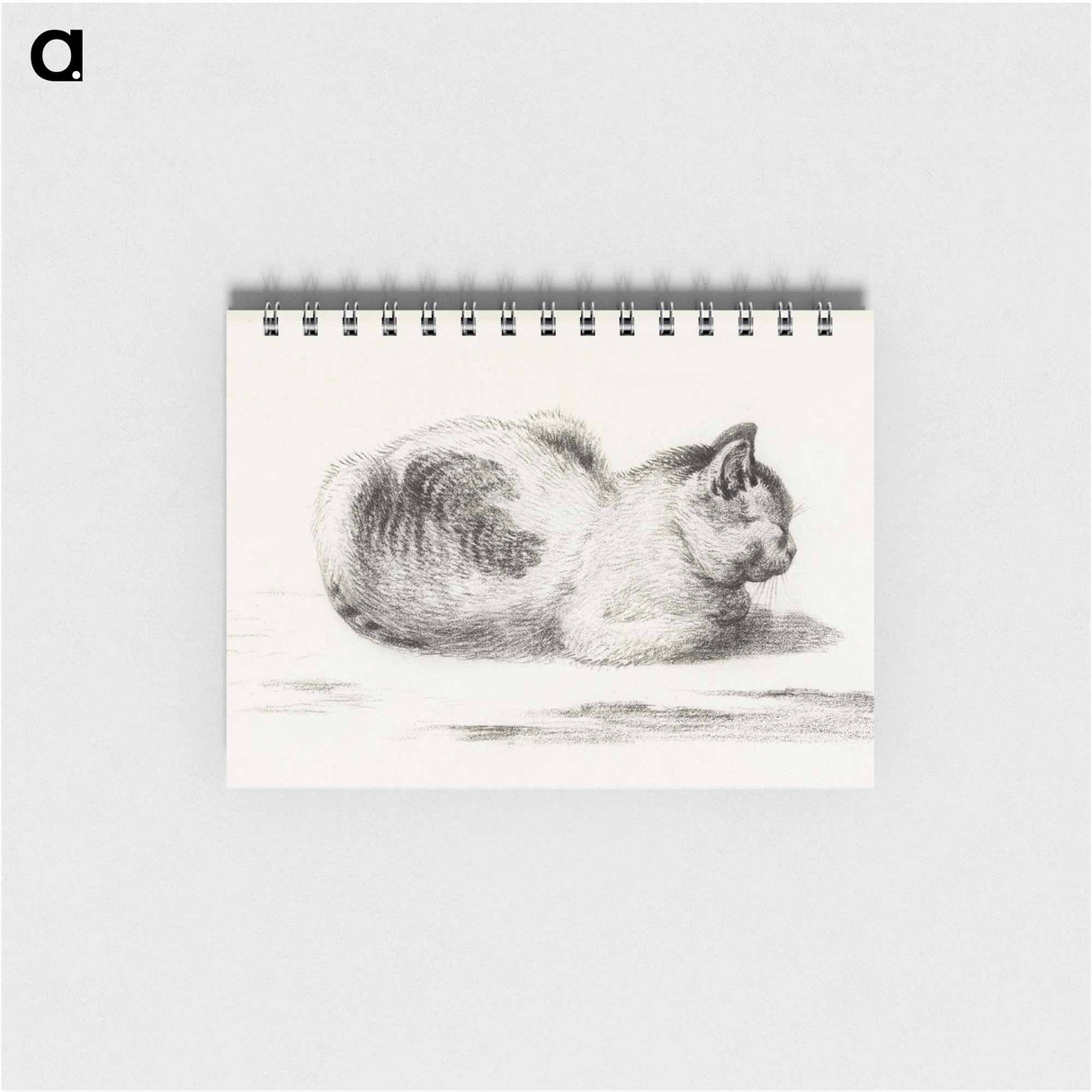 Reclining cat - ジャン ベルナール Memo.