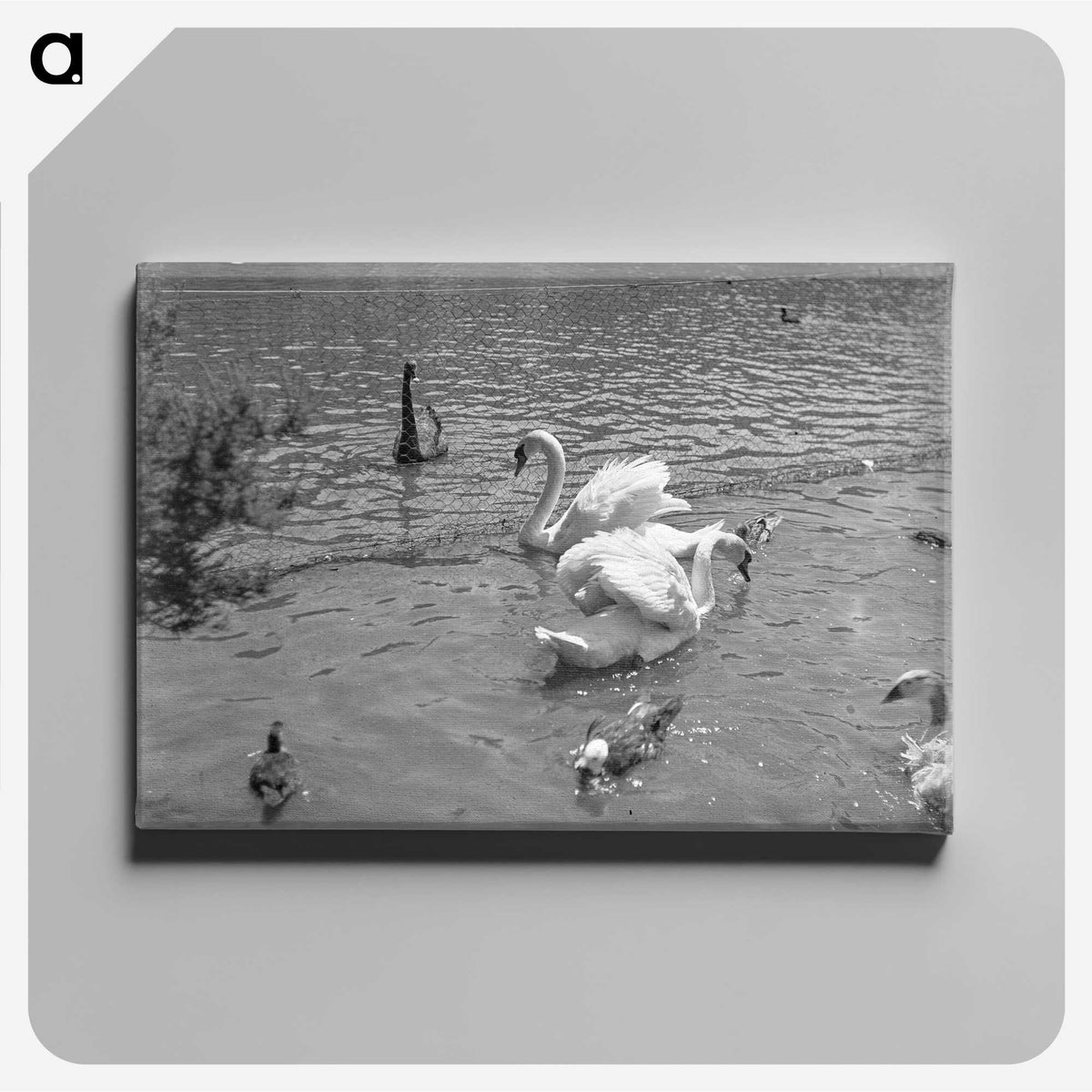 2-77_Leslie-Adkin_canvas