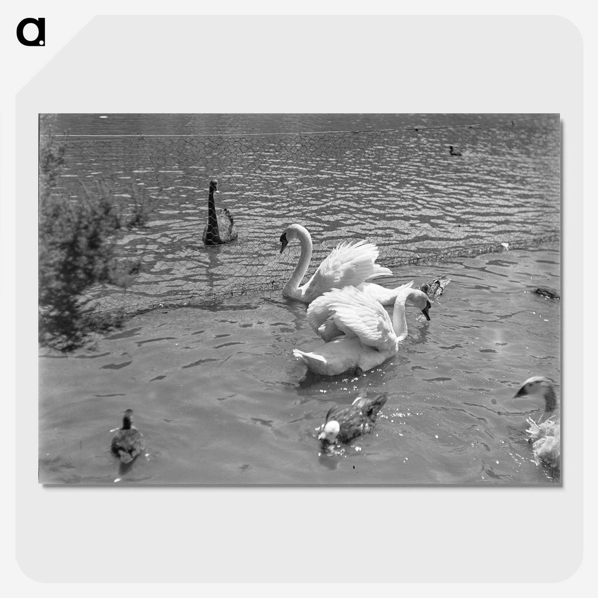 2-77_Leslie-Adkin_picture-crop