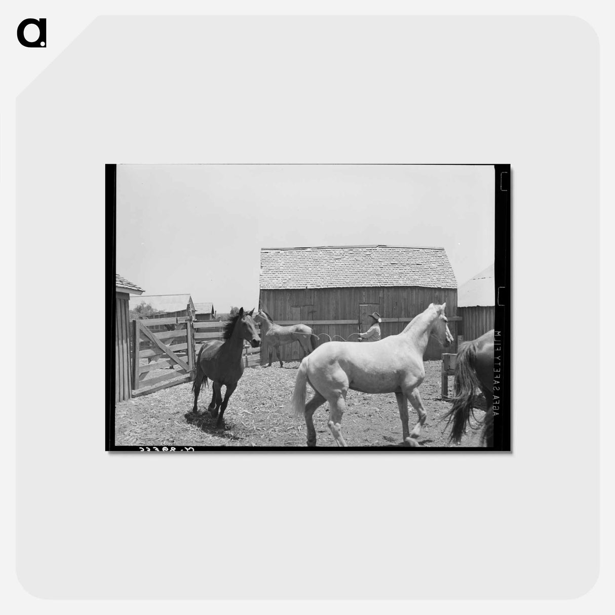 アートポストカード-Roping a Horse
- ラッセル リー Postcard.
