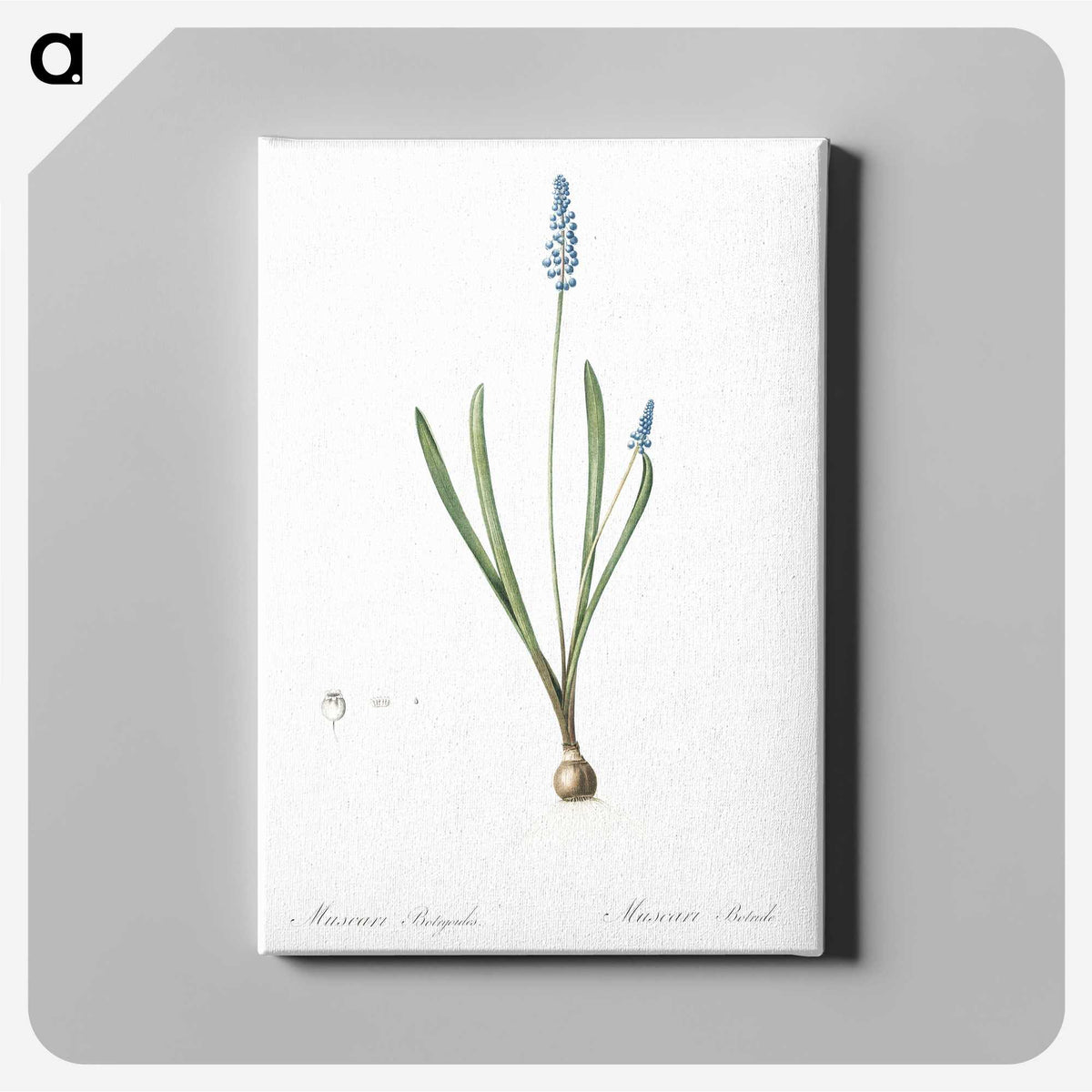2-77_The-Lilies_canvas