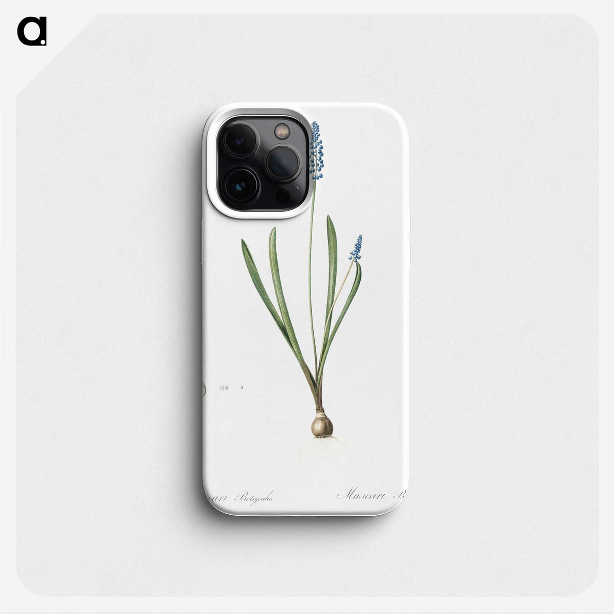 2-77_The-Lilies_phone