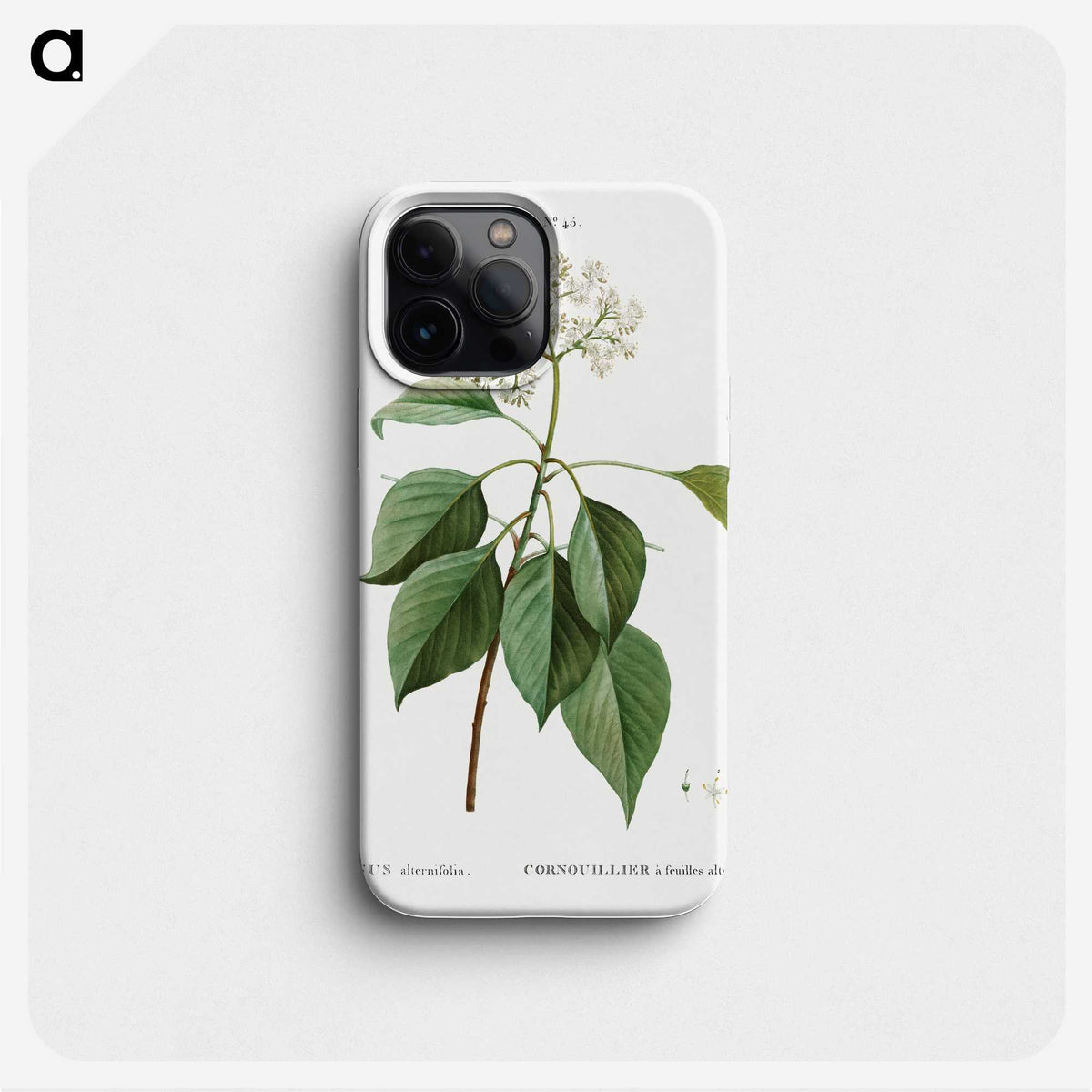 2-77_Treatise-on-Trees-and-Shrubs_phone