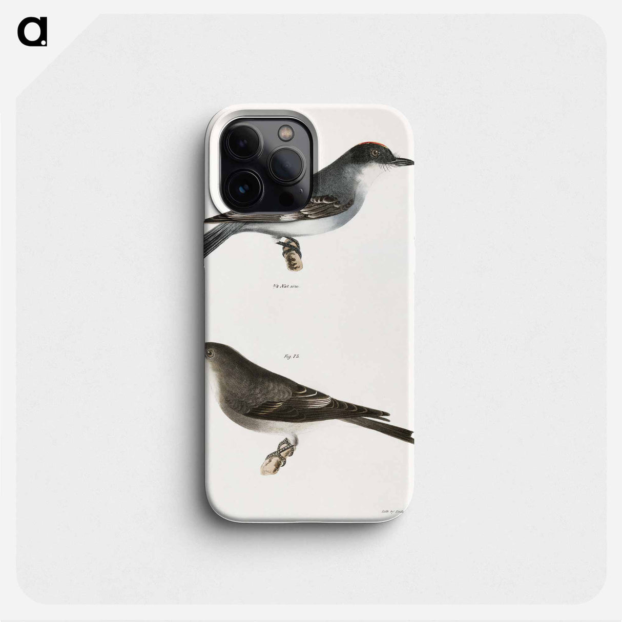 The Kingbird (Tyrannus intrepidus) 73. The Olive-sided Kingbird (Tyrannus cooperi) - New York Zoology Phone Case.