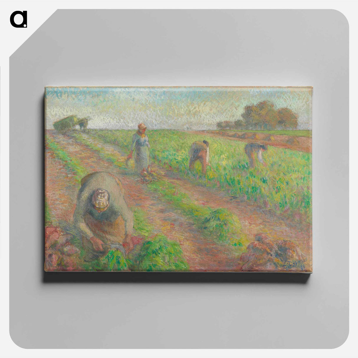 アートパネル-The Beet Harvest - カミーユ ピサロ Canvas.