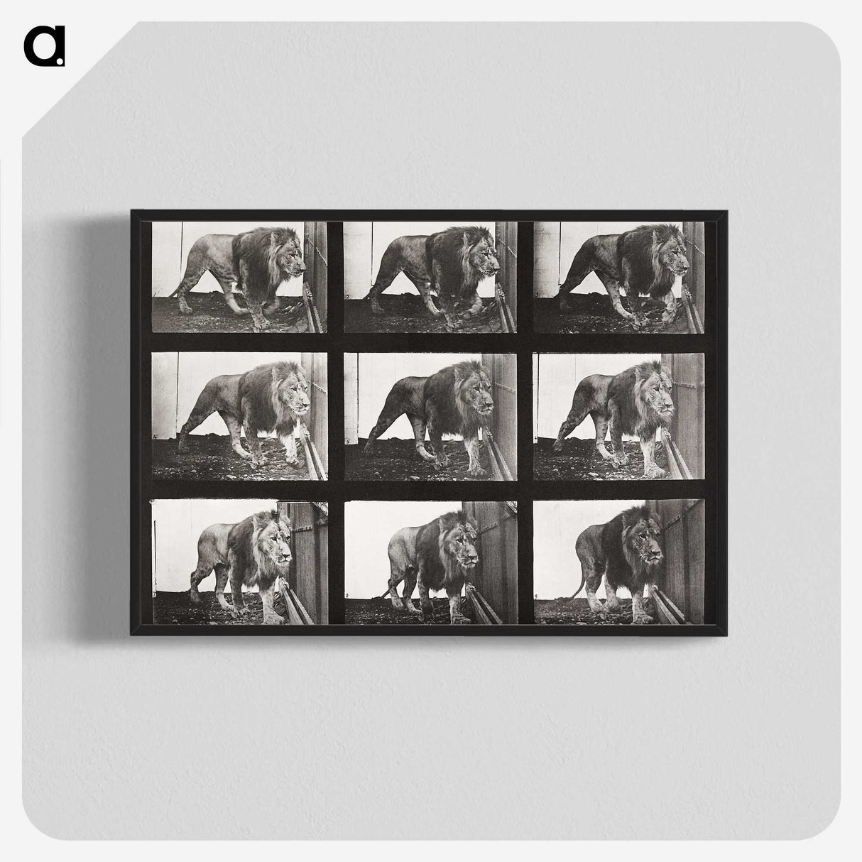 2-78_Eadweard-Muybridge_blk-crop