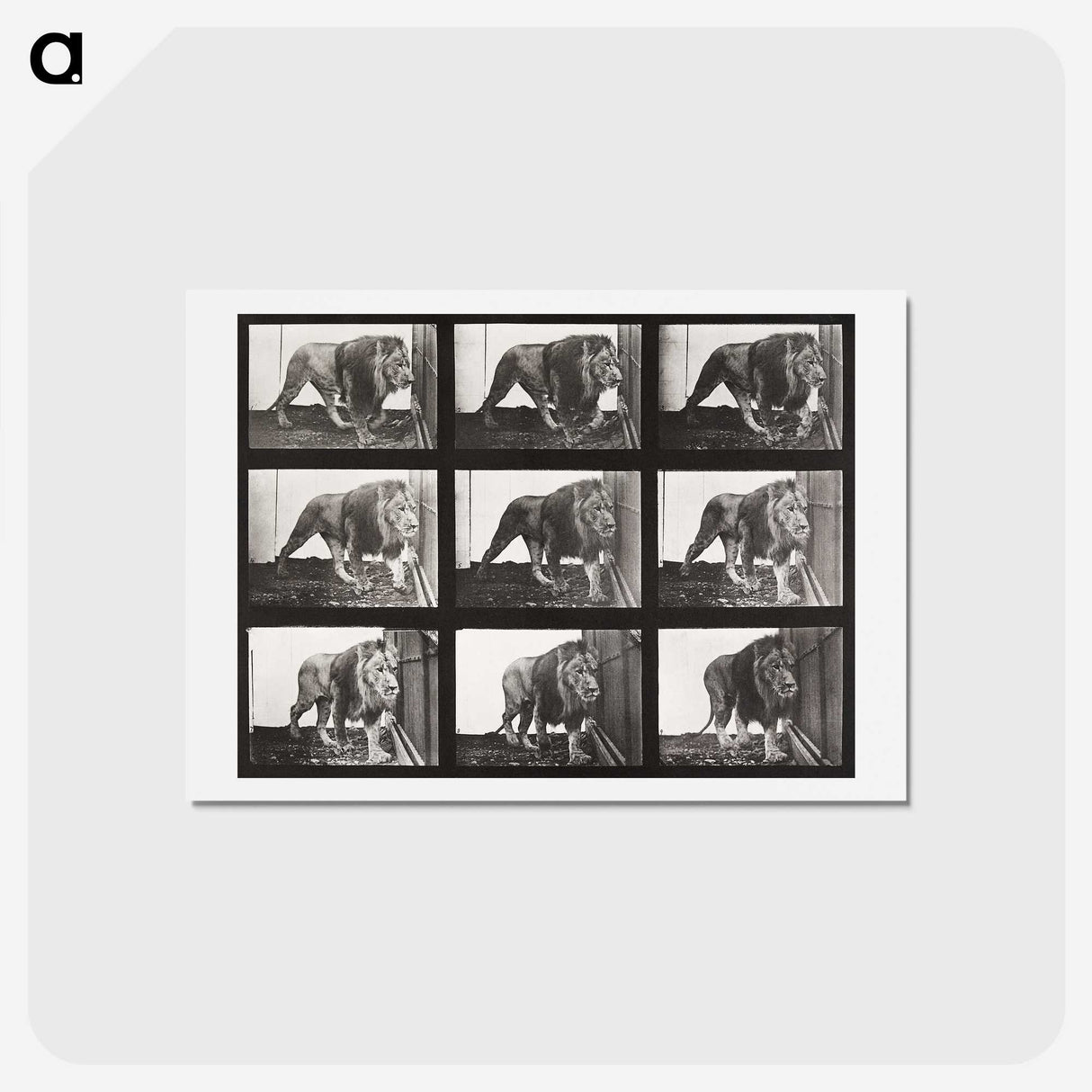 2-78_Eadweard-Muybridge_hagaki