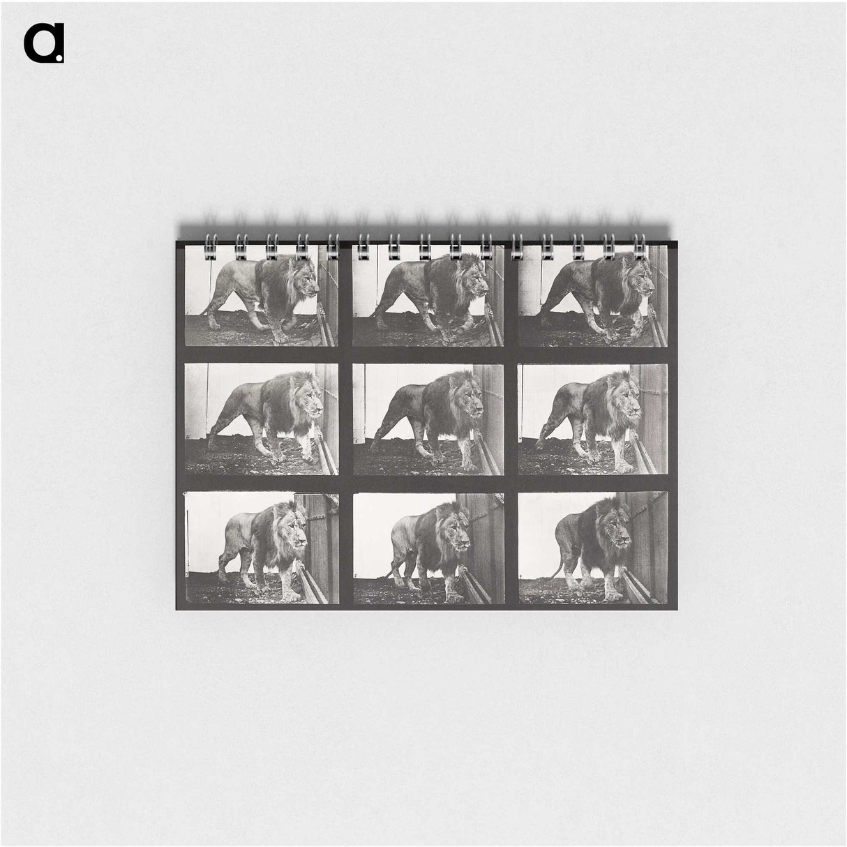 2-78_Eadweard-Muybridge_memo