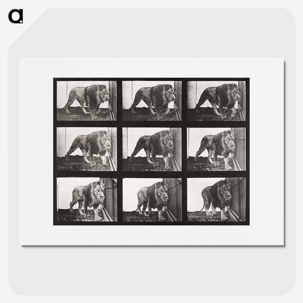 2-78_Eadweard-Muybridge_picture