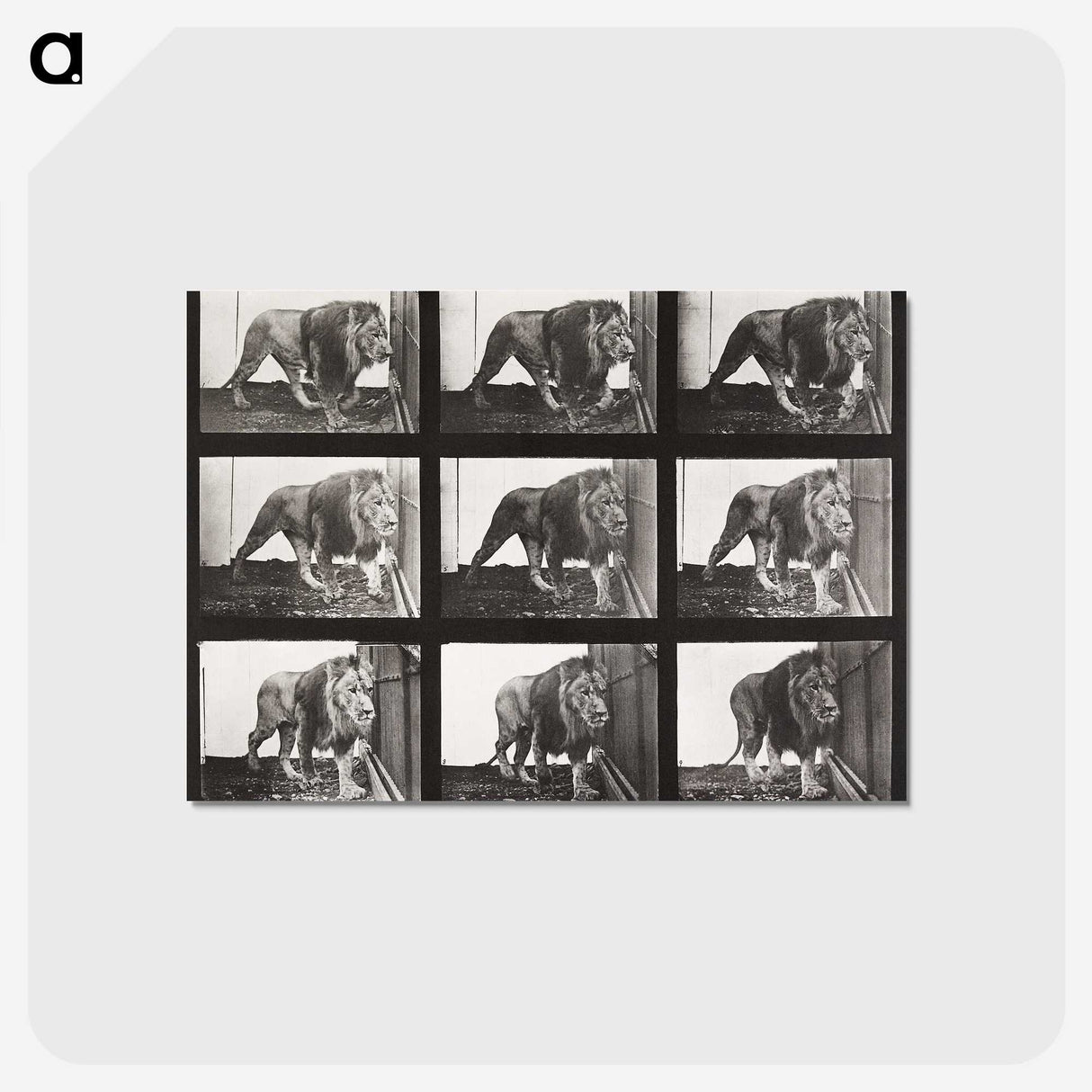 2-78_Eadweard-Muybridge_postcard