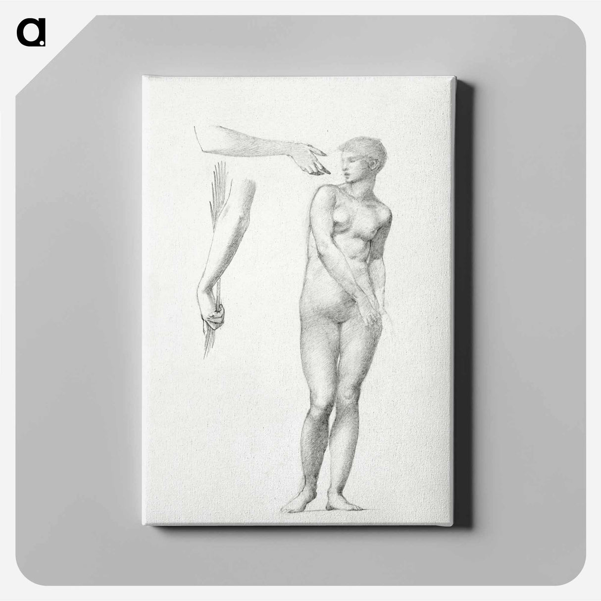 Standing Female Nude and Sketches of Arms - エドワード バーン ジョーンズ Canvas.