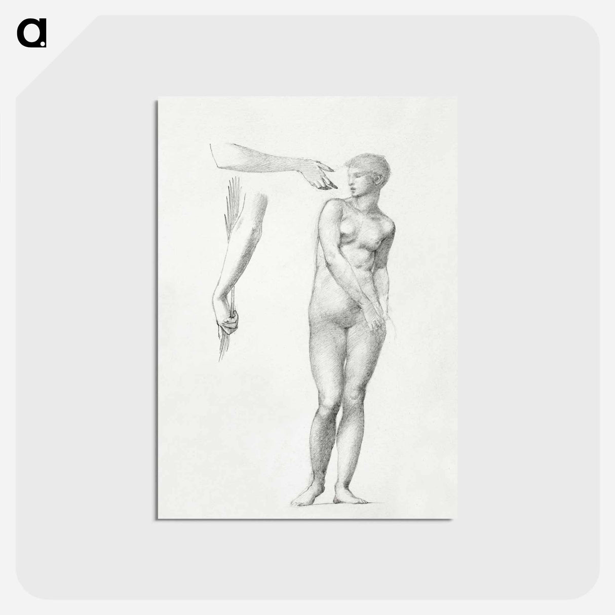 アートポストカード-Standing Female Nude and Sketches of Arms - エドワード バーン ジョーンズ Postcard.