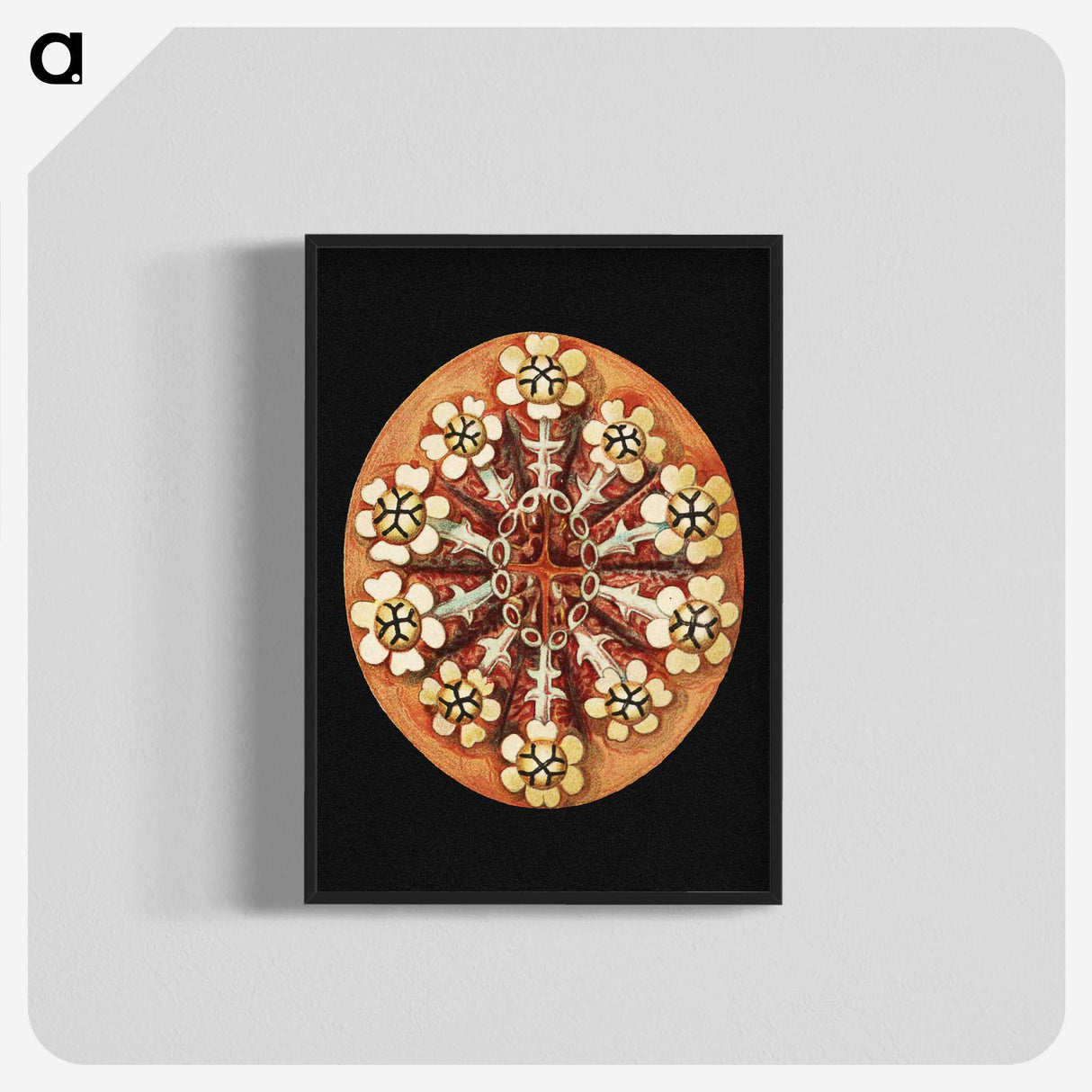 2-78_Ernst-Haeckel_blk-crop