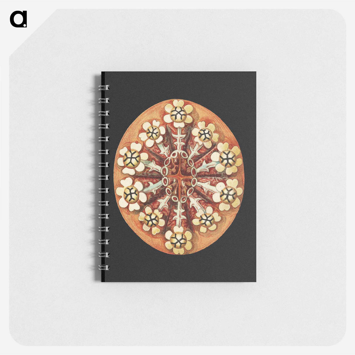 2-78_Ernst-Haeckel_memo