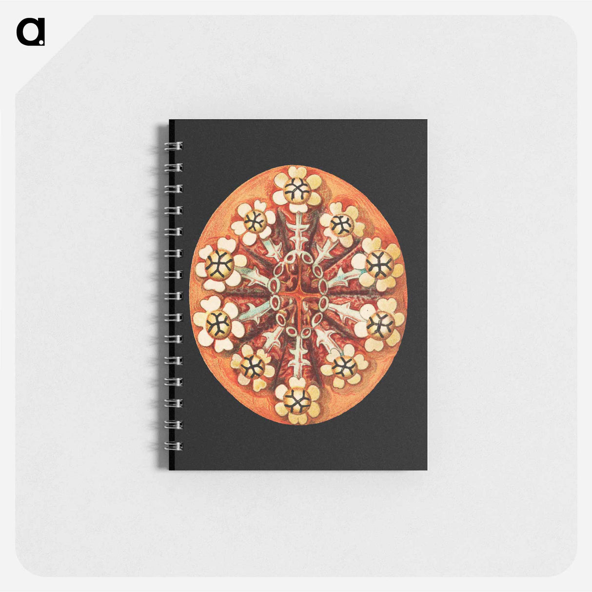アートメモ帳-Colorful vintage tunicate marine life illustration - エルンスト ヘッケル Memo.