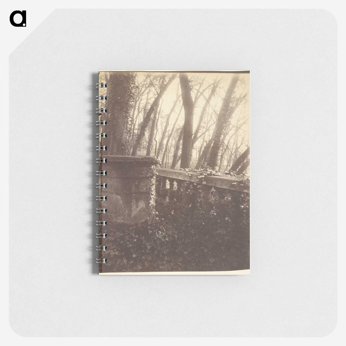 2-78_Eugene-Atget_memo