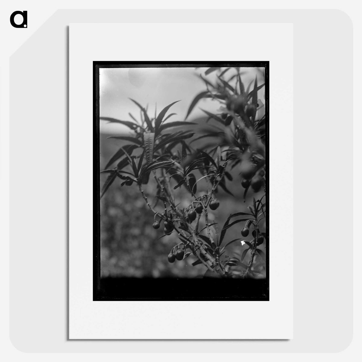 2-78_Frederick-Charles-Brockett_picture