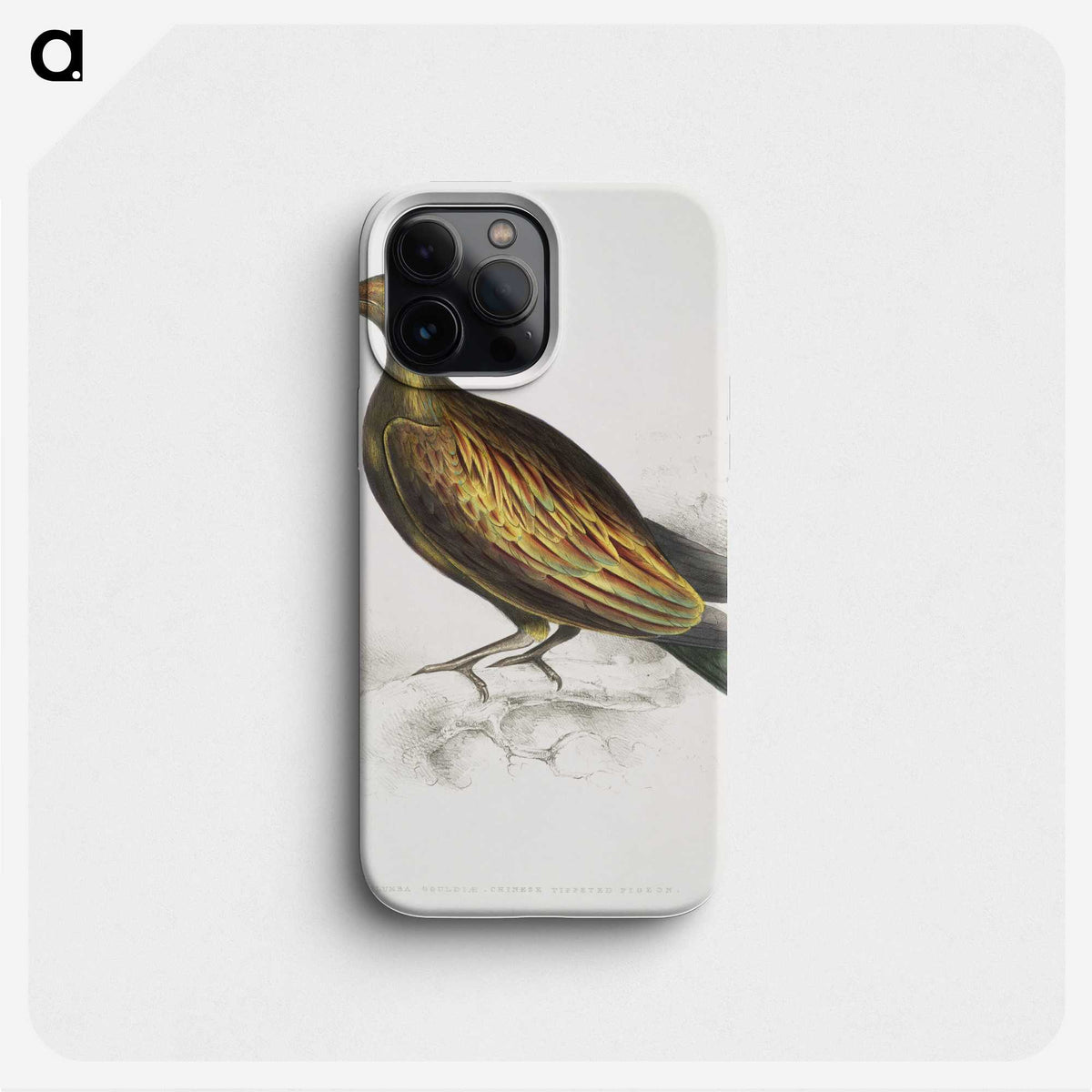 2-78_Indian-Zoology_phone