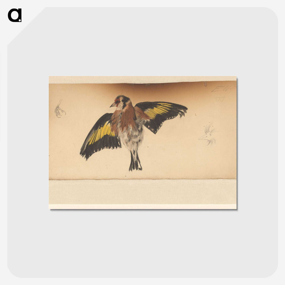 2-78_Julie-de-Graag_postcard