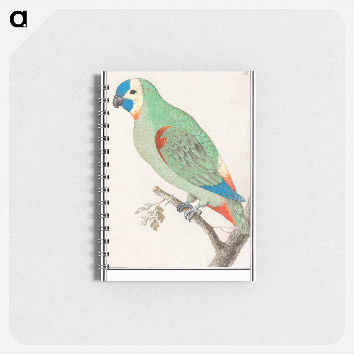 アートメモ帳-Blue-fronted amazon - アンセルムス ボエティウス デ ブート Memo.