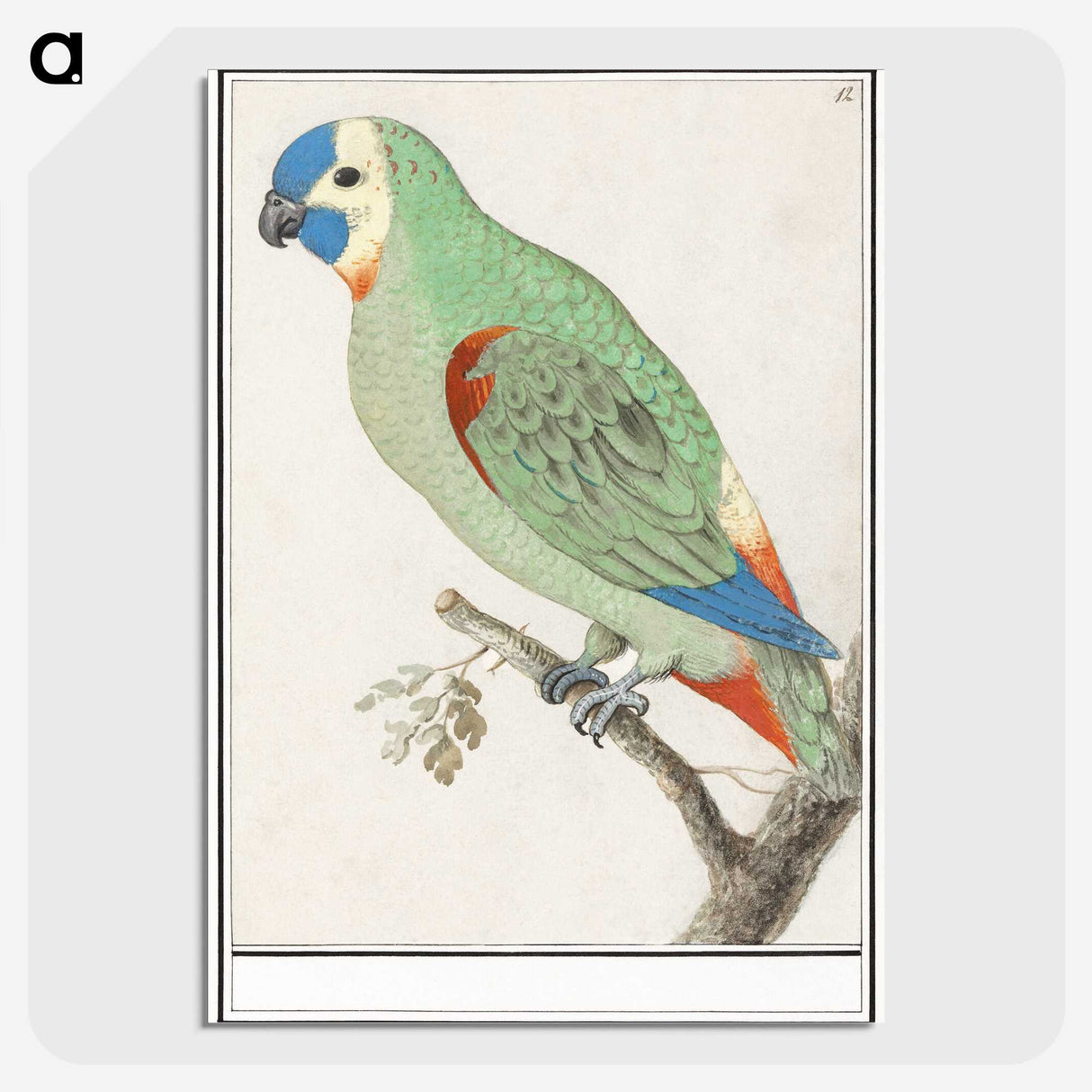 2-79_Anselmus-Boetius-de-Boodt_picture-crop