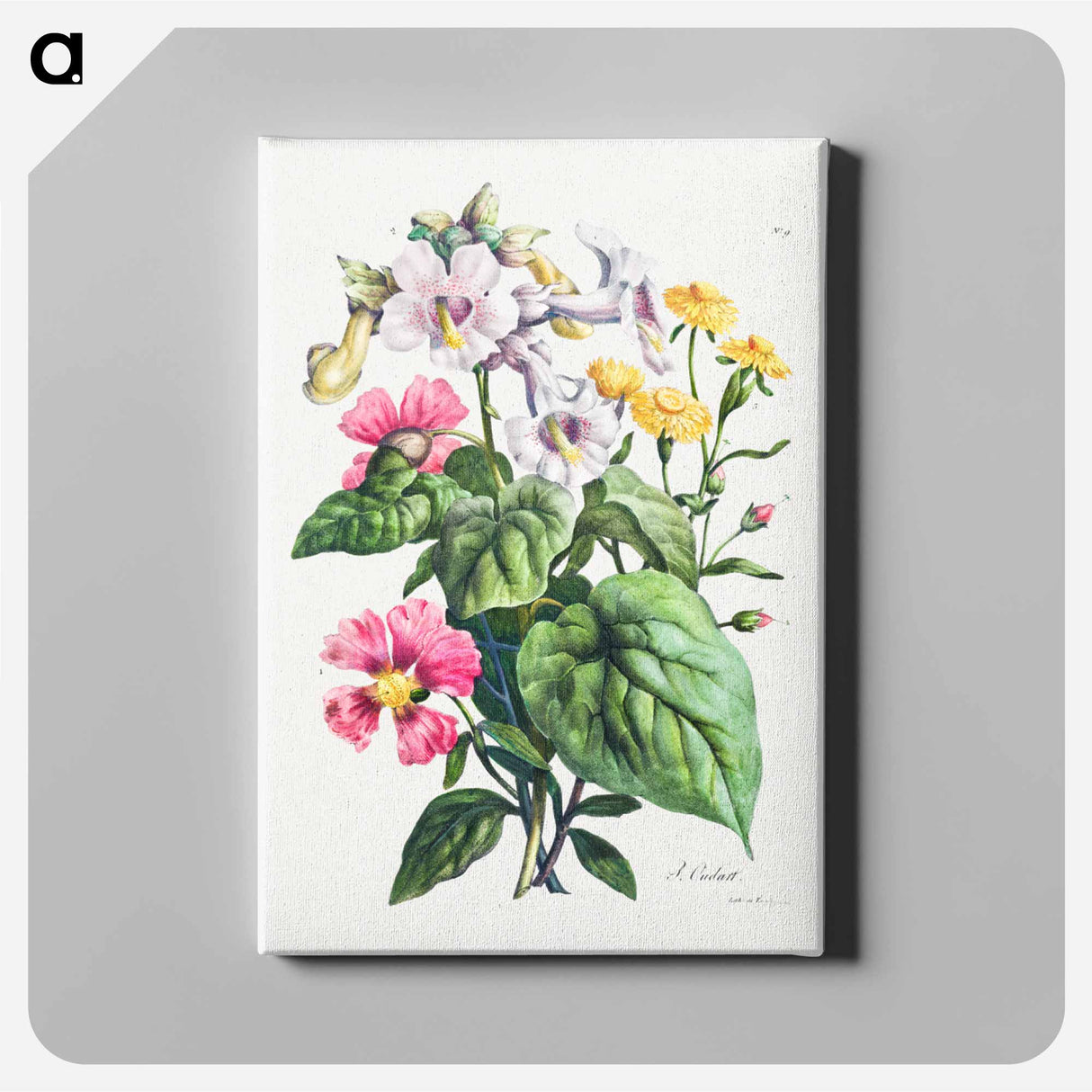 アートパネル-Cours d'Histoire Naturelle
- クリーブランド美術館 Canvas.