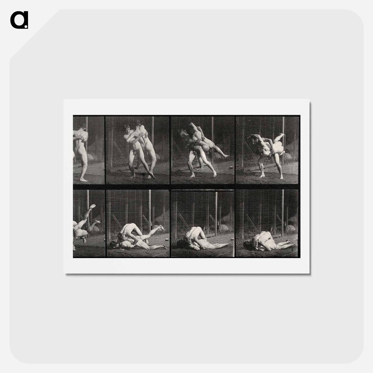 アートポストカード-Wrestling Men
- エドワード マイブリッジ Postcard.