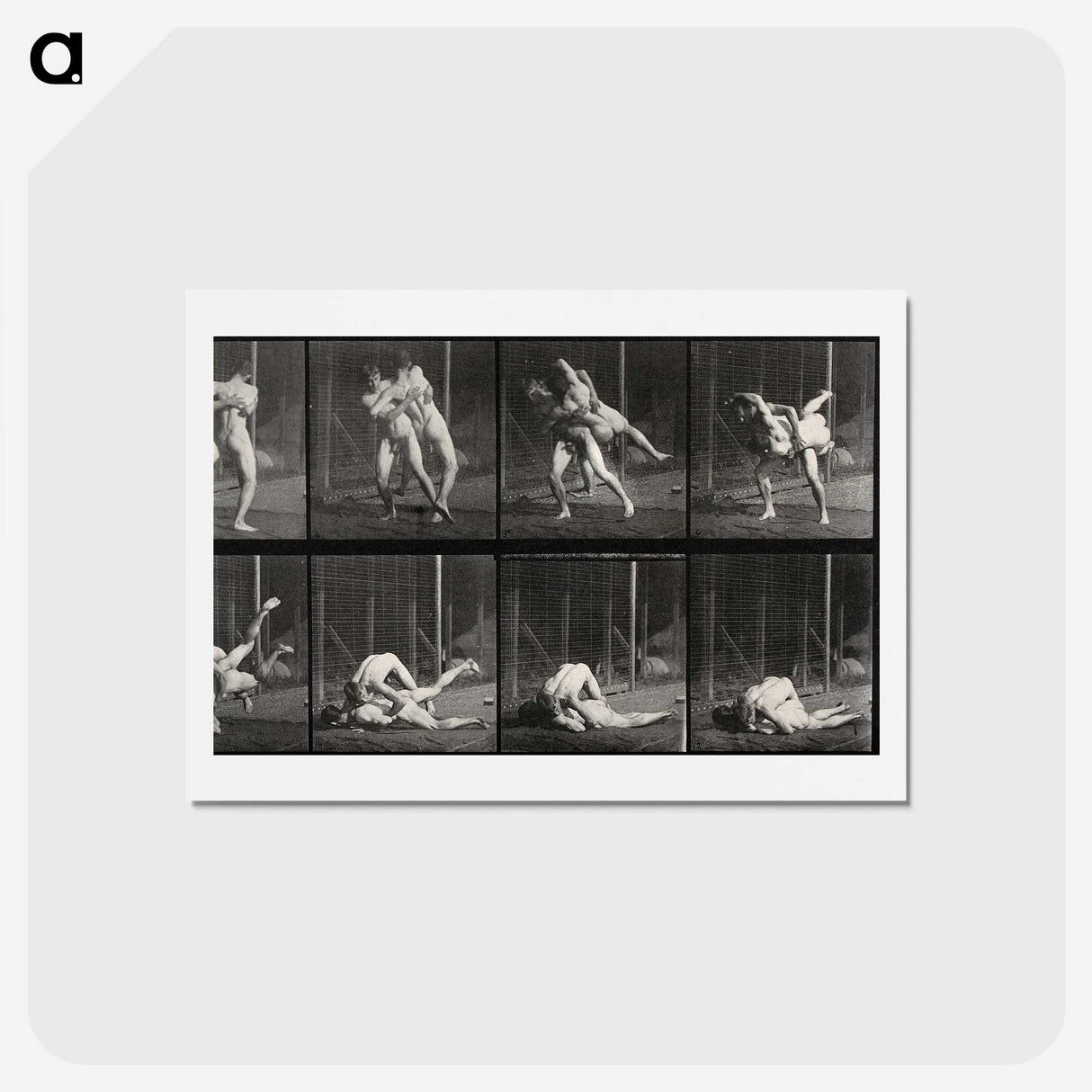 2-79_Eadweard-Muybridge_hagaki