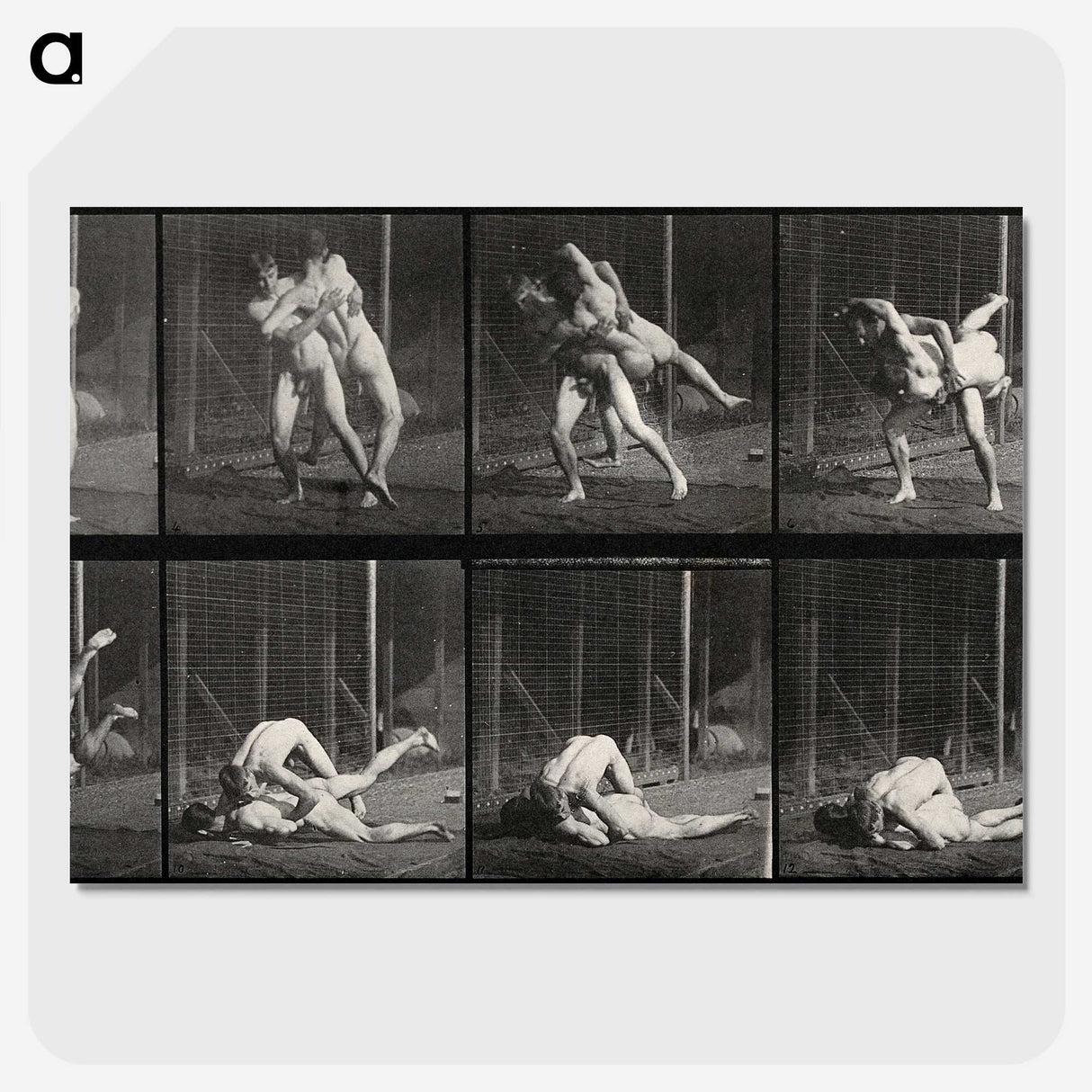 2-79_Eadweard-Muybridge_picture-crop