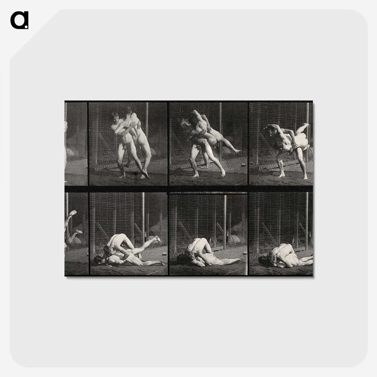 2-79_Eadweard-Muybridge_postcard