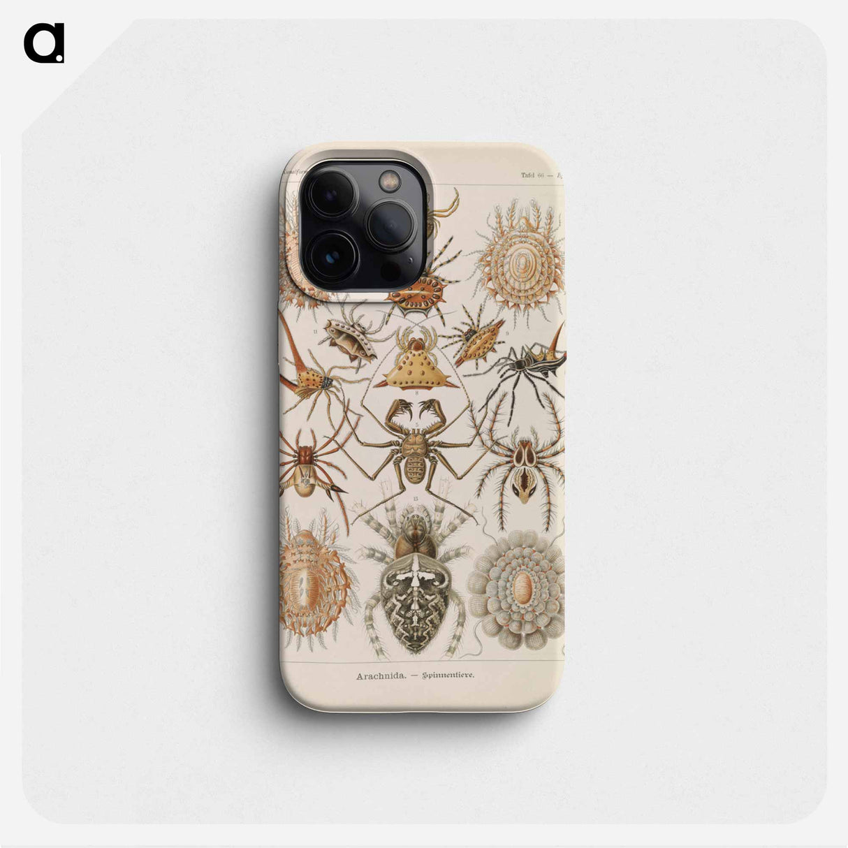Insects illustration from Kunstformen der Natur - エルンスト ヘッケル Phone Case.