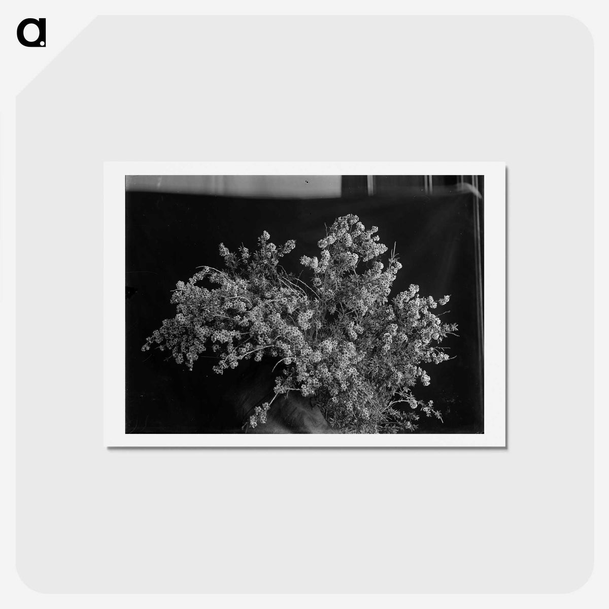 2-79_Frederick-Charles-Brockett_hagaki