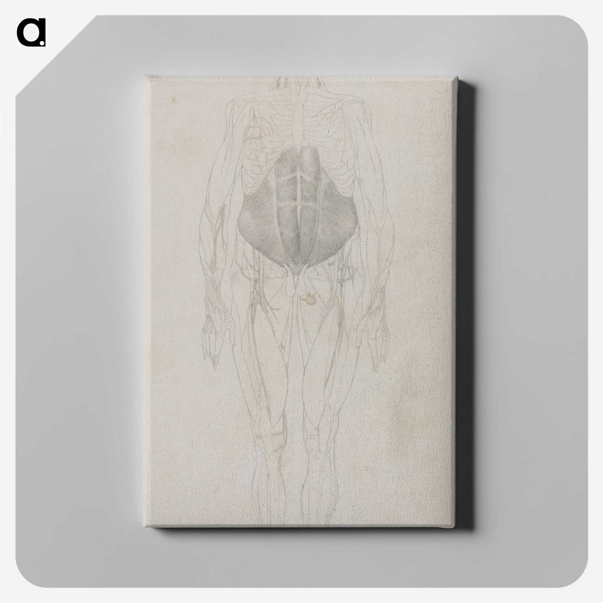 2-79_George-Stubbs_canvas