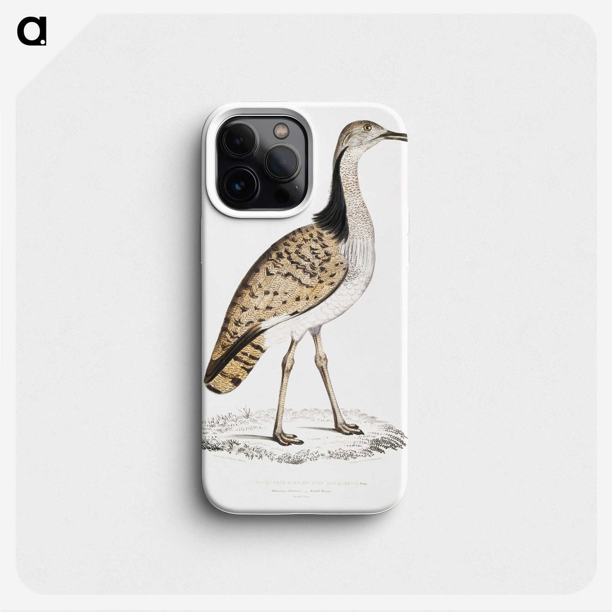 2-79_Indian-Zoology_phone