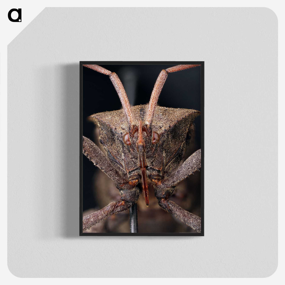 2-79_Insects-Unlocked-Project_blk-crop