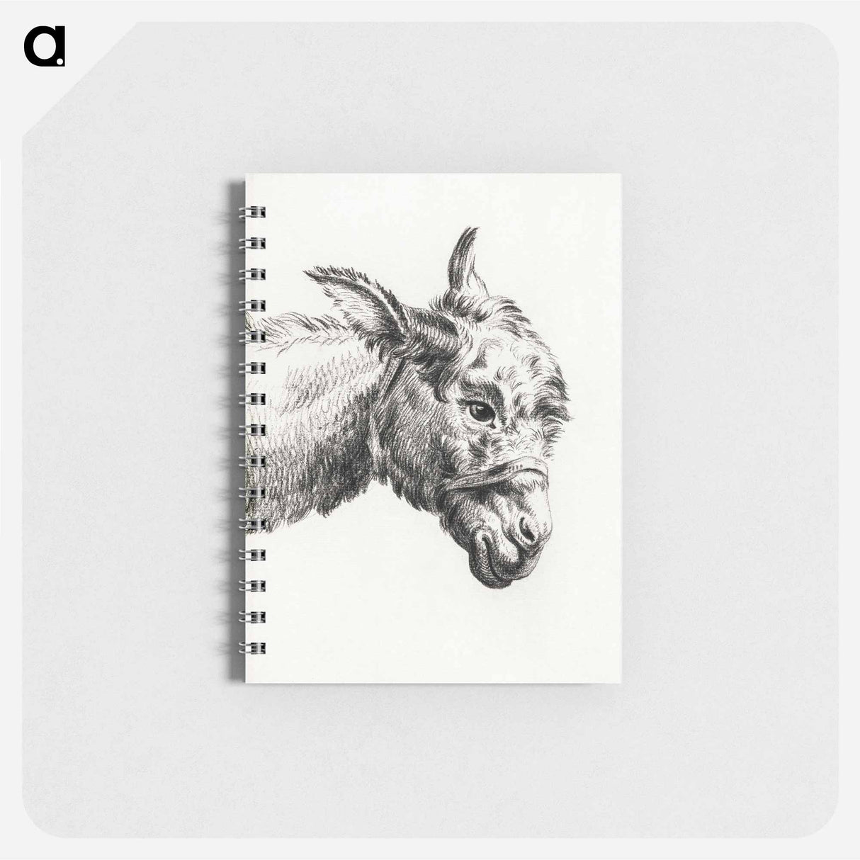 Head of a donkey - ジャン ベルナール Memo.