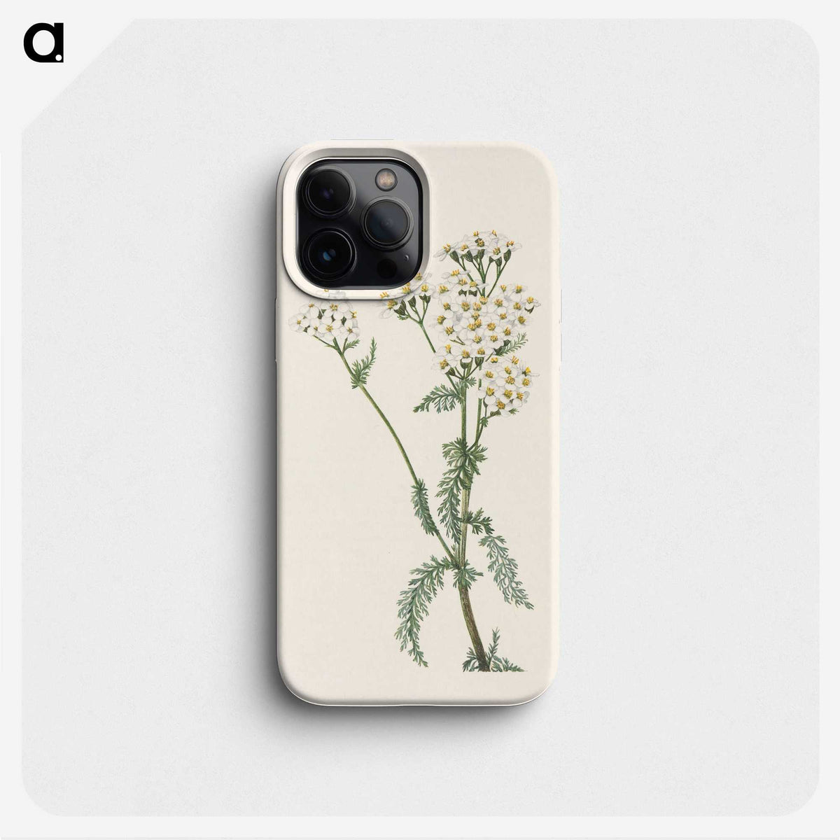 2-79_Mary-Vaux-Walcott_phone
