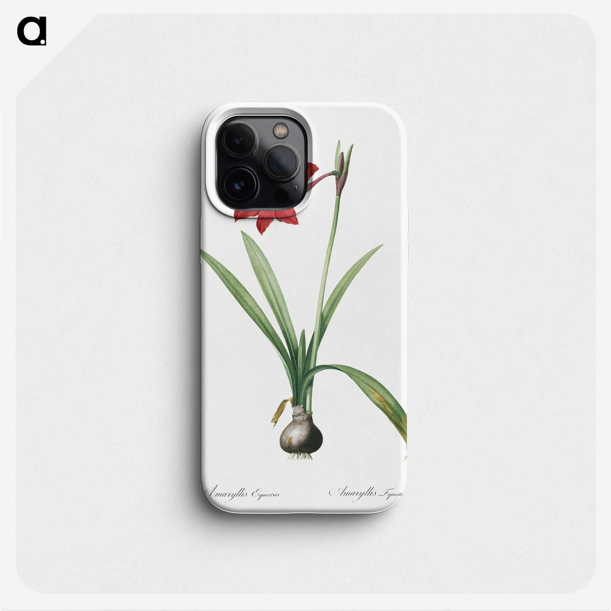 2-79_The-Lilies_phone