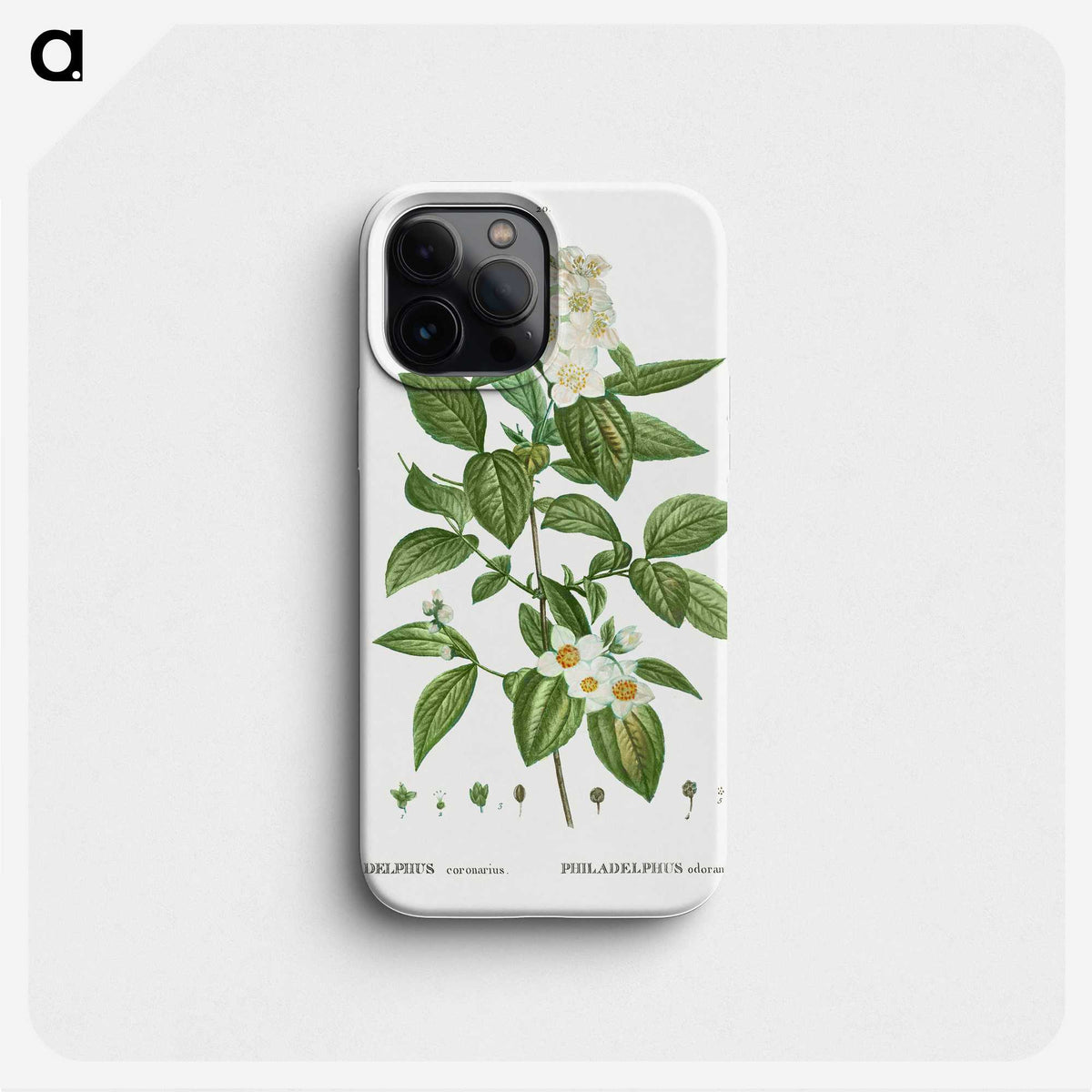 2-79_Treatise-on-Trees-and-Shrubs_phone