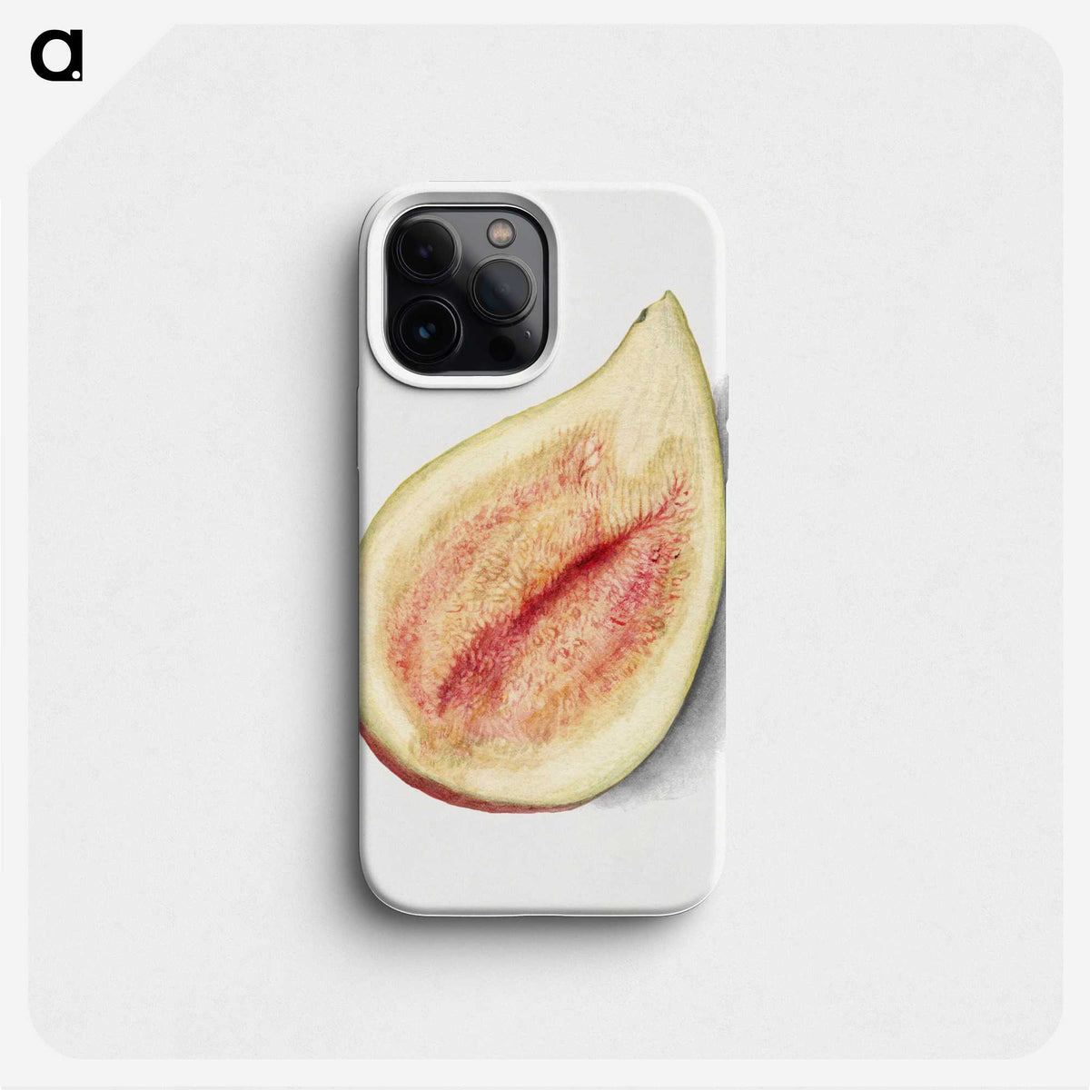 2-79_USDA-Watercolor-Fruit-Painting-Collection_phone