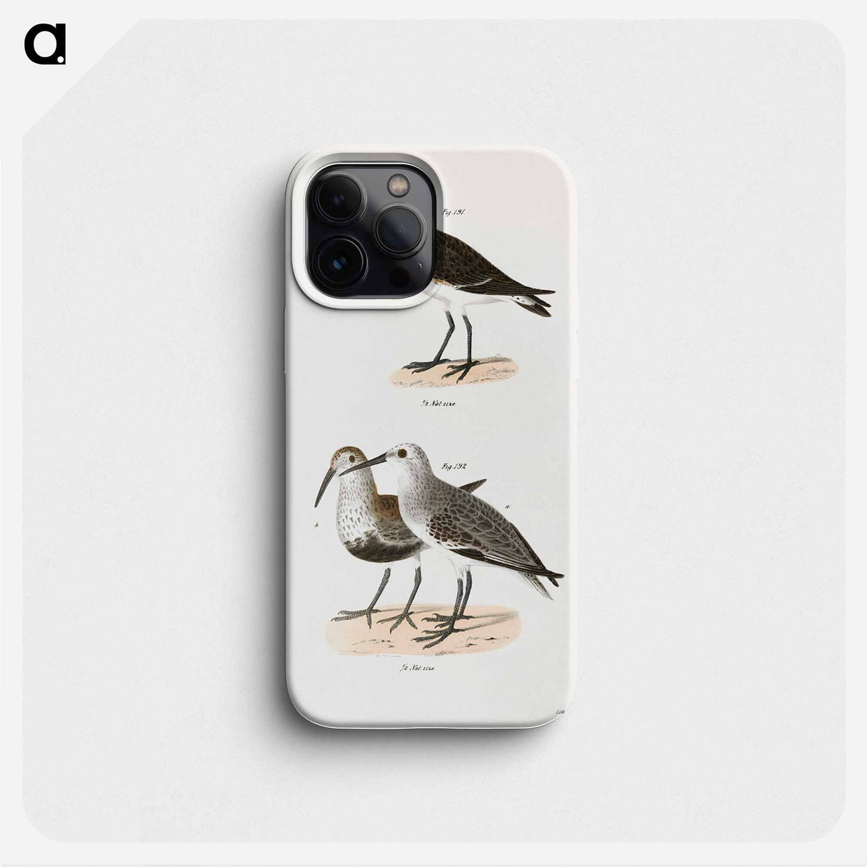Schnitz's Sandpiper - New York Zoology Phone Case.