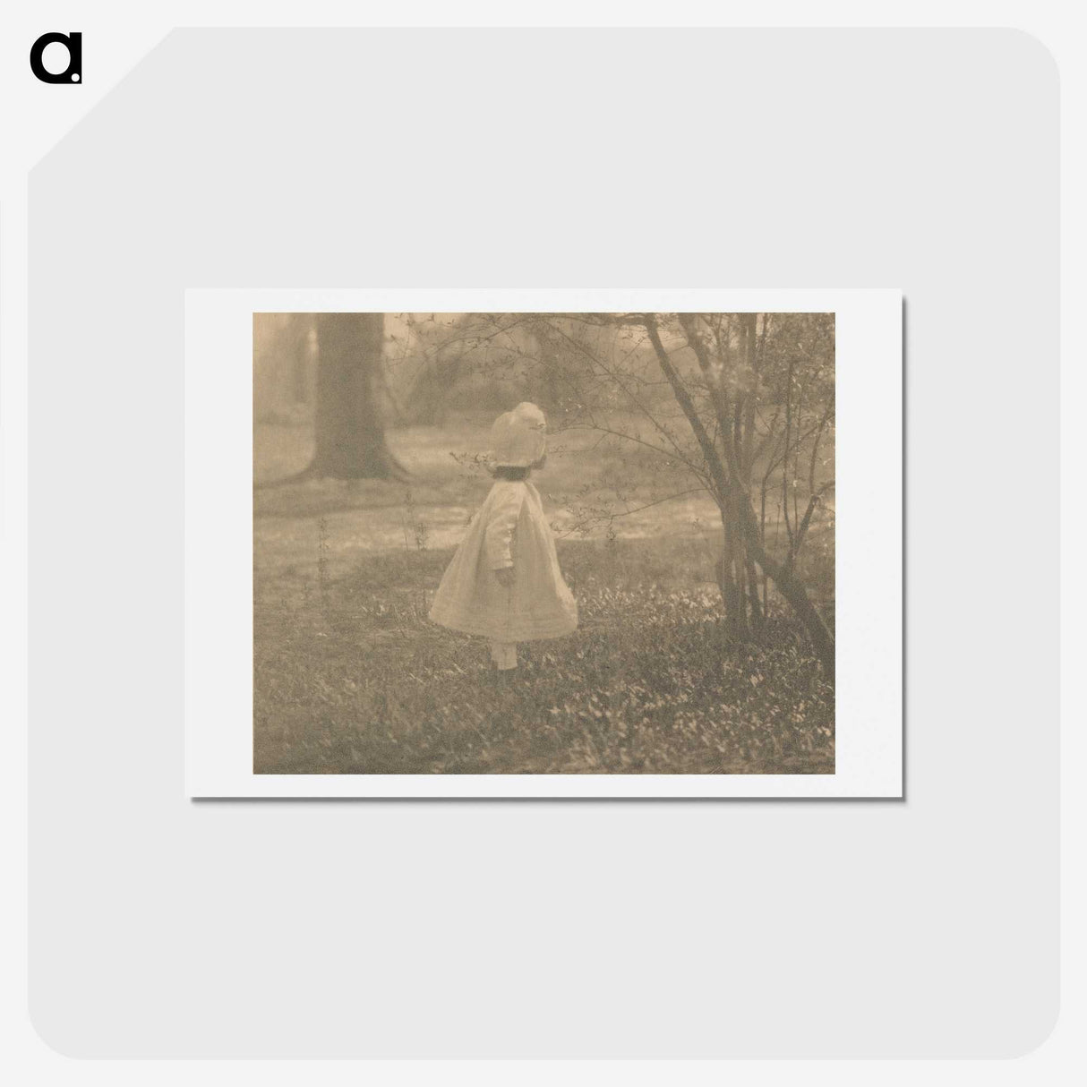 2-7_Alfred-Stieglitz_hagaki