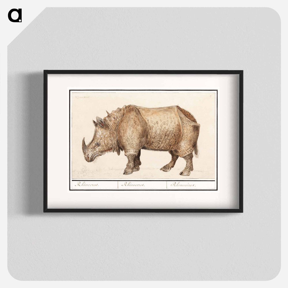 Indian rhinoceros - アンセルムス ボエティウス デ ブート Poster.