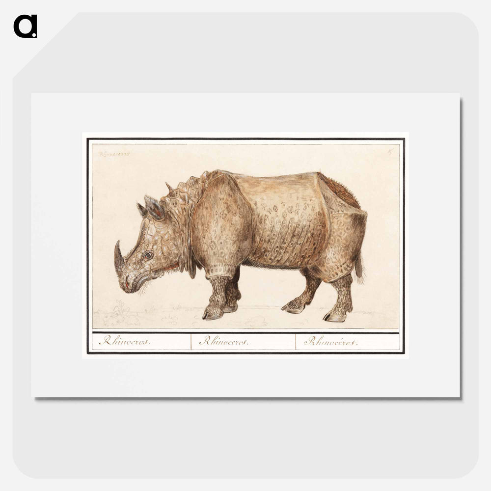 Indian rhinoceros - アンセルムス ボエティウス デ ブート Poster.
