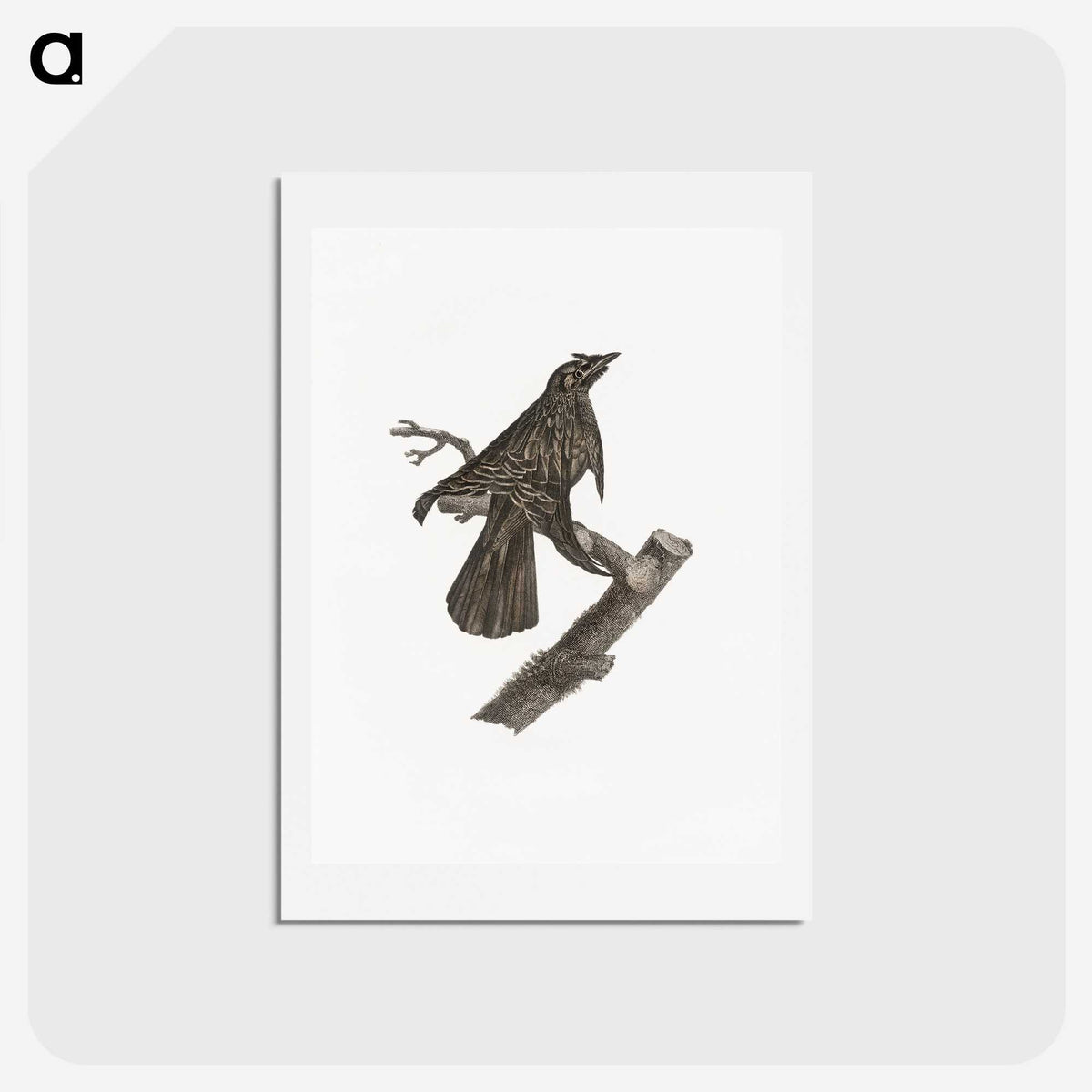 2-7_Des-Oiseaux-de-Paradis_hagaki