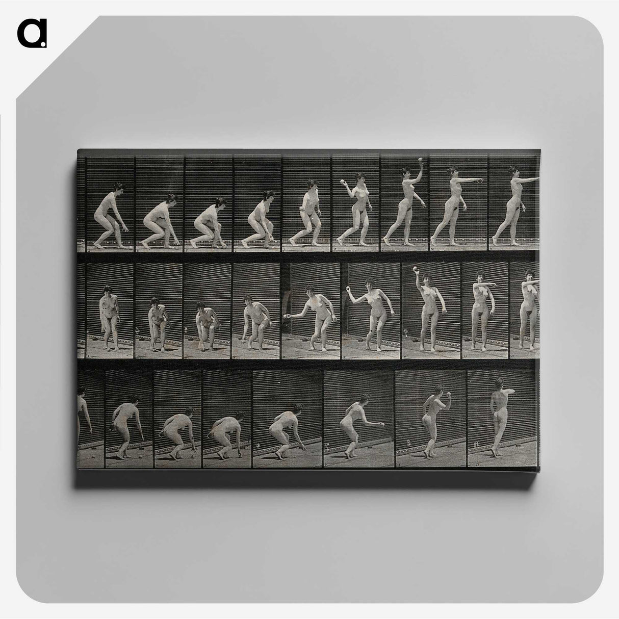 2-7_Eadweard-Muybridge_canvas