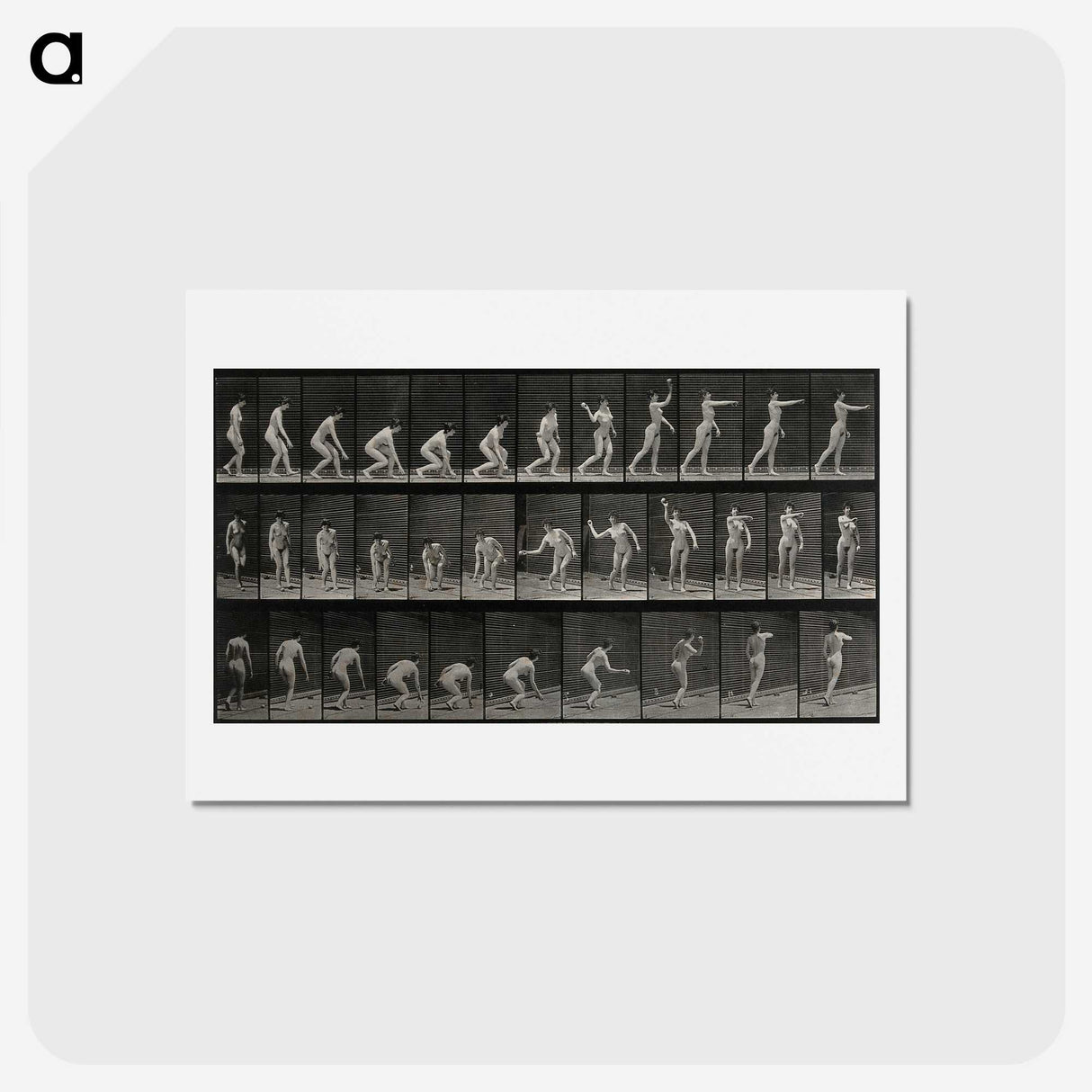 2-7_Eadweard-Muybridge_hagaki