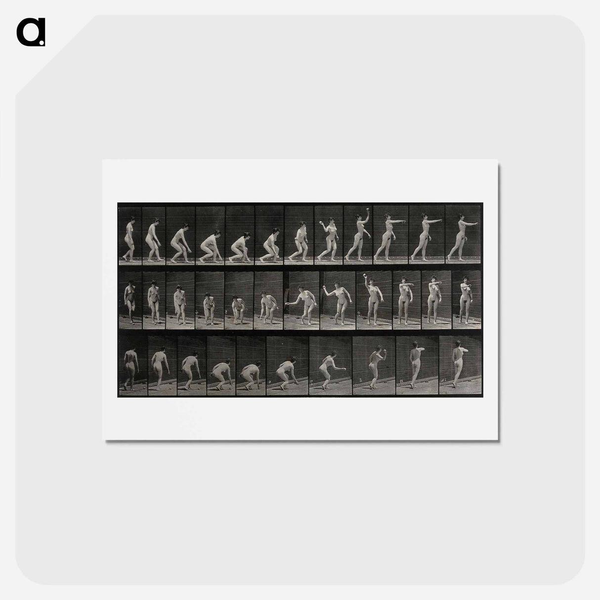 アートポストカード-Woman Throwing a Ball
- エドワード マイブリッジ Postcard.
