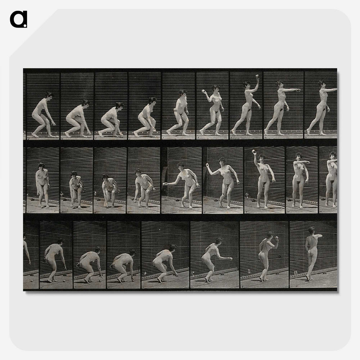 2-7_Eadweard-Muybridge_picture-crop